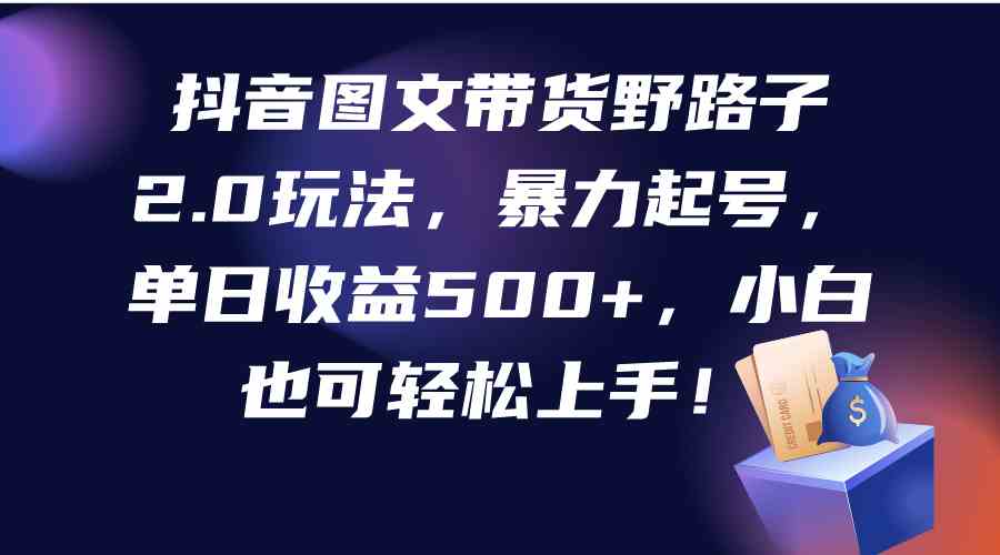 （9790期）抖音图文带货野路子2.0玩法，暴力起号，单日收益500+，小白也可轻松上手！-68资源