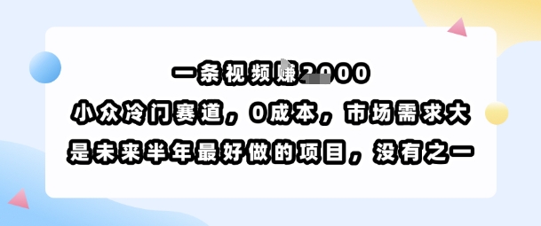 一条视频挣1k，小众冷门赛道，0成本，市场需求大，是未来半年最好做的项目，没有之一-68资源