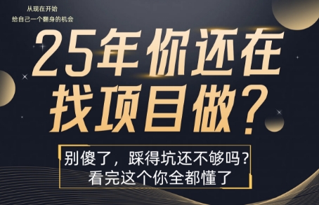 25年，你还在疯狂的找项目吗？别傻了，看完这个你都懂了【揭秘】-68资源