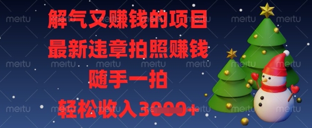 解气又挣钱的项目，最新违章拍照挣钱，随手一拍，轻松收入数张【揭秘】-68资源