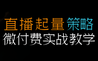 半野老师·直播带货起量与微付费必学课视频号-68资源