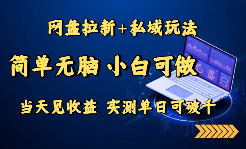 网盘拉新+私域玩法，简单无脑，小白可做，当天见收益，实测单日可破千-68资源