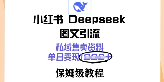 小红书Deepseek图文引流，私域售卖资料，单日变现多张，保姆级教程-68资源