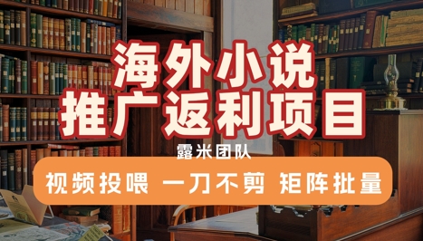 海外小说推广返利项目，视频投喂， 一刀不剪，矩阵批量-68资源
