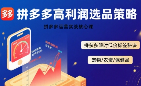 拼多多选品暴利技术实战课，拼多多高利润选品策略，拼多多限时低价标签秘诀-68资源