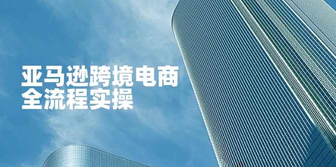 亚马逊跨境电商全流程实操，教你从零开始，掌握店铺运营与广告技巧-68资源