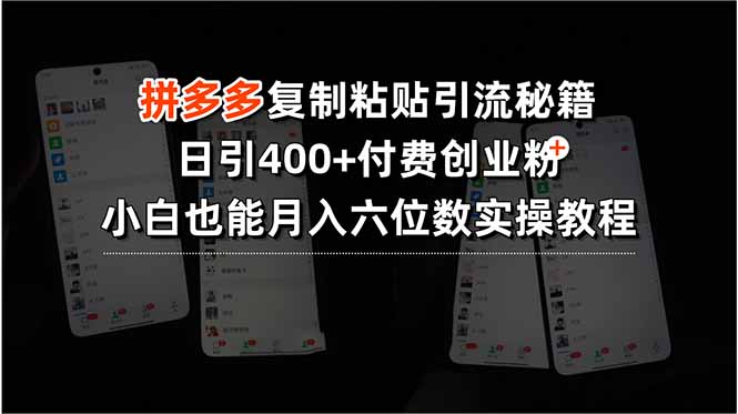 拼多多复制粘贴引流秘籍，日引400+付费创业粉，小白也能月入六位数实操...-68资源
