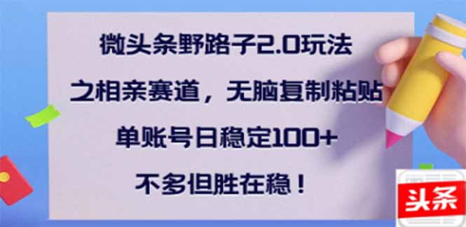 （14334期）微头条野路子2.0玩法之相亲赛道，无脑搬砖复制粘贴，单账号日稳定300+…-68资源