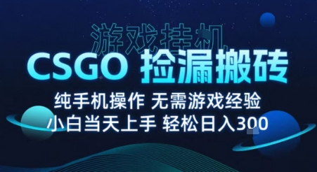 8月最新游戏搬砖，CSGO纯挂G，不需要玩游戏，实现真挂G，月入1W+【揭秘】-68资源