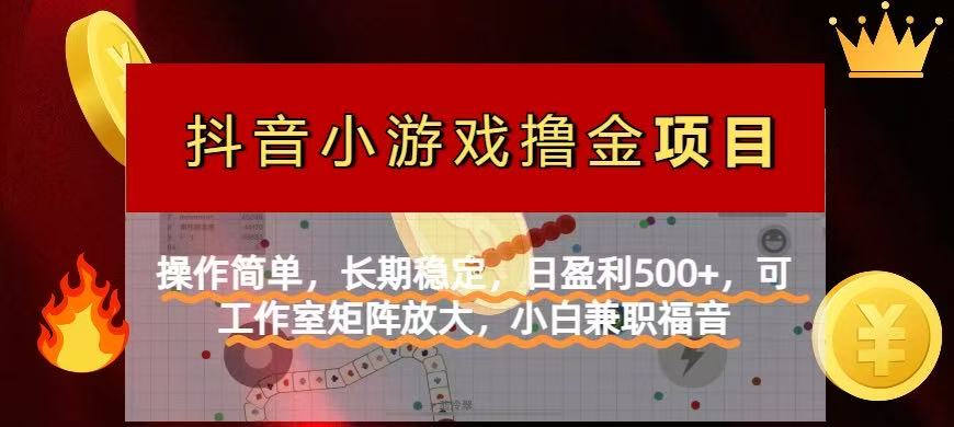 【抖音小游戏发行人计划项目】操作简单，长期稳定，日盈利500+，可工作...-68资源