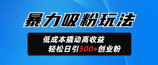暴力吸粉玩法，日引500+精准创业粉，日变现轻松多张-68资源