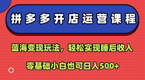 拼多多开店运营课程：蓝海变现玩法，轻松实现睡后收入，零基础小白也可日入5张-68资源