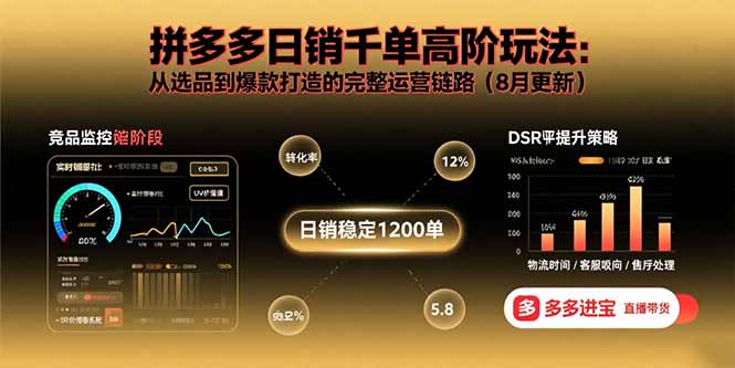 拼多多日销千单高阶玩法：从选品到爆款打造的完整运营链路(8月更新-68资源