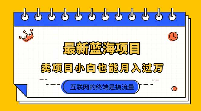 2025年最新蓝海项目，卖项目小白也能月入过万-68资源