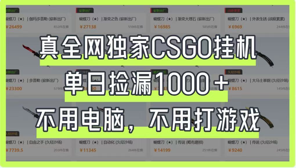 真全网独家CSGO挂机，单日捡漏1000+，不用电脑，不用养号-68资源