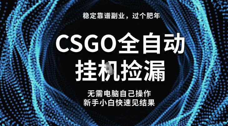【稳定副业】全球最热门游戏CSGO全自动捡漏，最新玩法，新手小白日入5张+【揭秘】-68资源