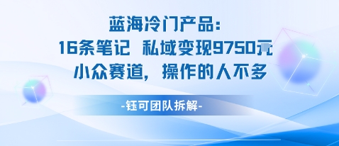 蓝海项目：16条笔记私域变现9750米小众赛道操作的人不多-68资源