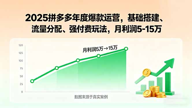2025拼多多年度爆款运营，基础搭建、流量分配、强付费玩法，月利润5-15万-68资源