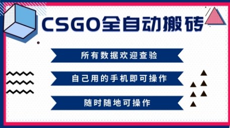 CSGO全自动搬砖，年底钱回家好项目，当天可拿到结果，新手小白轻松月入1W+【揭秘】-68资源