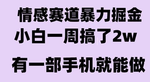情感暴力掘金项目，新人操作一周挣了2W，长期稳定小白可做【揭秘】-68资源