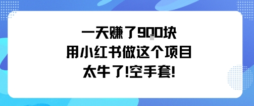 一天挣了9张用小红书做这个项目太牛了，空手套-68资源