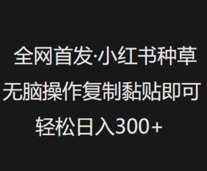 全网首发，小红书种草无脑操作，复制黏贴即可，轻松日入3张-68资源