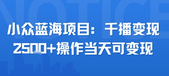 小众蓝海项目，千播变现2.5k+操作当天可变现-68资源