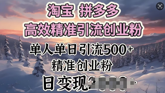 淘宝拼多多高效精准引流创业粉，单人单日引流500+创业粉，日变现多张-68资源