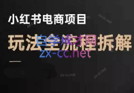 菲菲老师·小红书电商玩法(更新7月)-68资源