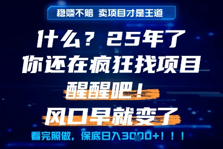 什么？25年你还在疯狂找项目做，醒醒吧，看完这些你全都懂了！【揭秘】-68资源