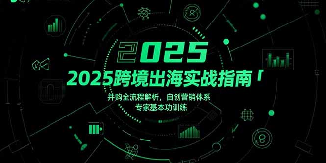 2025跨境出海实战指南，并购全流程解析，自创营销体系，专家基本功训练-68资源
