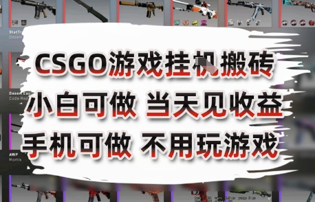 CSGO游戏挂G搬砖，小白纯手机即可操作，不用电脑打游戏，日入3张+，副业网创项目【揭秘】-68资源