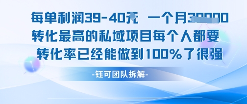 每单利润40一个月7k+转化最高的私域项目，每个人都要的产品转化率已经能做到100%-68资源