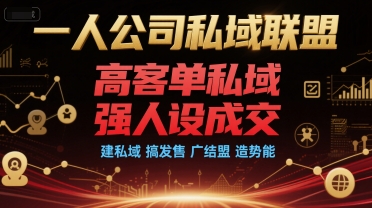 一人公司私域联盟，高客单私域，强人设成交，建私域 搞发售 广结盟 造势能-68资源