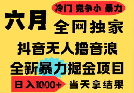 25年6月高爆抖音无人直播最新撸音浪掘金项目，小白可做，无脑日入1k+，门槛低可批量矩阵【揭秘】-68资源