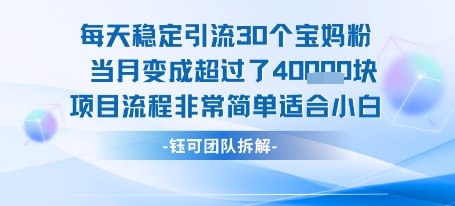每天稳定引流30个人 当月变成超过了4个W项目流程非常简单适合小白-68资源