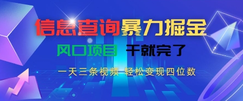 信息查询暴力掘金，一天三条视频，轻松变现四位数，风口项目干就完了【揭秘】-68资源