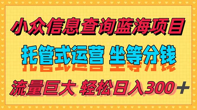 稳定日入300＋，小众信息查询蓝海项目，全程懒人式托管，解放你的时间-68资源