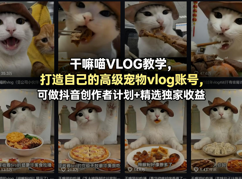 干嘛喵VLOG教学，打造自己的高级宠物vlog账号，可做抖音创作者计划+精选独家收益-68资源