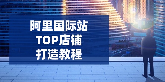 （14269期）阿里国际站TOP店铺打造教程：涵盖平台到高阶，解决运营难题，提升询盘-68资源