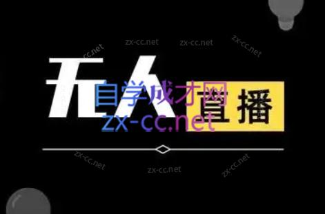 宝子哥·无人直播-非实时防风技术(更新6月)-68资源