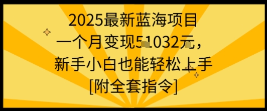 2025最新蓝海项目一个月变现1w+新手小白也能轻松上手【附全套指令】-68资源