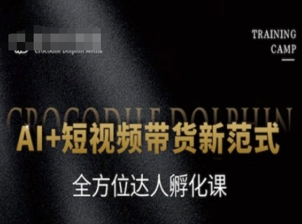 AI+短视频带货新范式，全方位达人孵化课-68资源