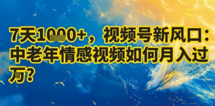 7天收益1k+，视频号新风口：中老年情感视频如何月入过W?-68资源