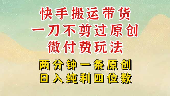 快手黑科技搬运带货，一刀不剪过原创，微付费投流玩法，轻松日入四位数...-68资源