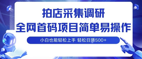拍店采集调研，全网首码项目，简单易操作， 小白也能轻松上手，多账号操作，轻松日入5张【揭秘】-68资源