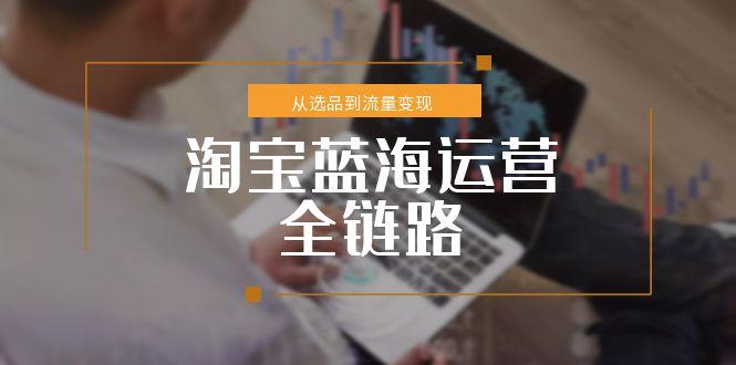 淘宝蓝海运营全链路，从选品到流量变现，小类目突围完整方案-68资源