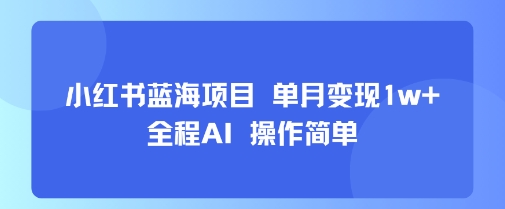 小红书蓝海项目 单月变现1w+ 全程AI 操作简单-68资源