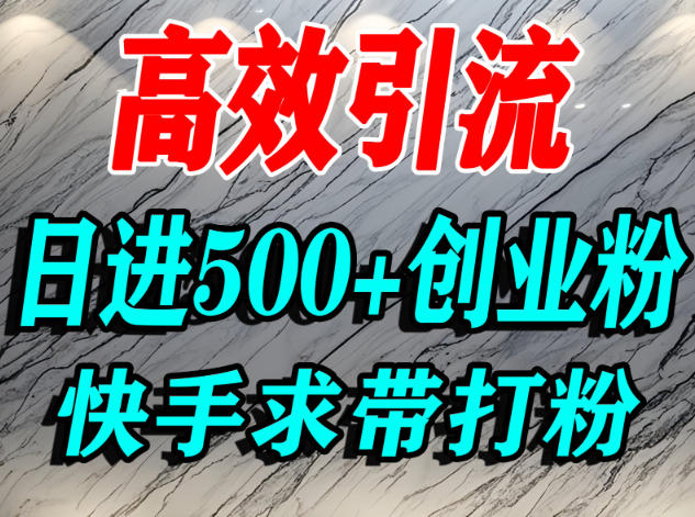怎么打创业粉？快手求带视角精准引流创业粉，宝妈、学生群体日进500+精准流量-68资源