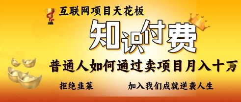 互联网项目天花板，知付付费项目，普通人如何通过卖项目月入十个，拒绝韭菜【揭秘】-68资源